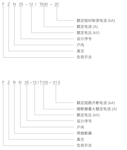 FZN25-12真空负荷开关-型号及含义.png